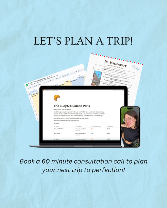 Trip Planning Consultation with Lucy